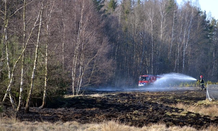 Wiosną bardzo łatwo może dojść do pożaru. Na zdj. akcja strażaków przeprowadzona w marcu 2015 r. w Nowym Dworze niedaleko Hopowa w gm. Somonino. fot. M. Dzienisz.