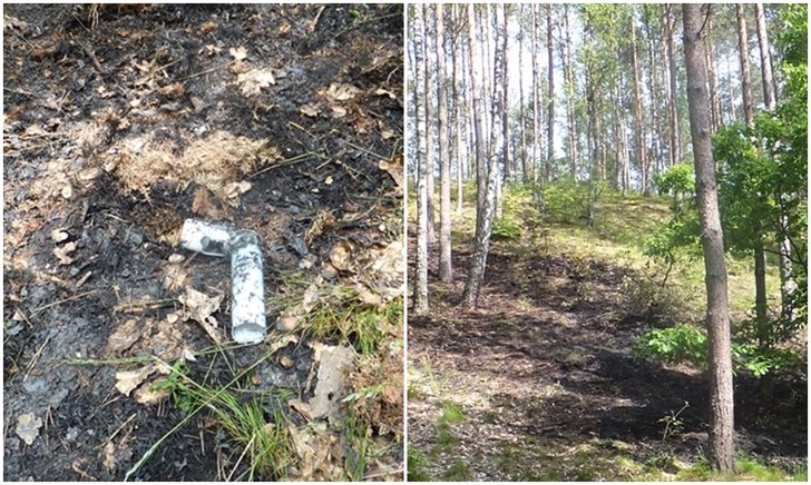 Pożar w Leśnictwie Uniradze wybuchł od fajerwerków – raca niefortunnie upadła na leśną ściółkę i ogniem zajęła się powierzchnia czterech arów. fot. Nadleśnictwa Kartuzy