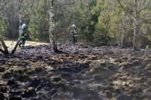 Niebezpieczny kwiecień. W tym miesiącu w lasach wybucha najwięcej pożarów.